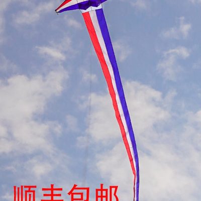 风筝滑翔机伞544伞布大型抗大风微风易飞2024新款初学者大人专用