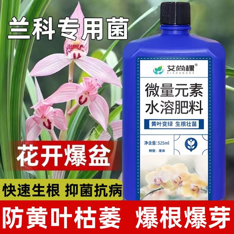 兰灵菌兰花专用肥蝴蝶兰君子兰肥料兰科专用菌兰花营养液黄叶克星,鲜花速递/花卉仿真/绿植园艺,家庭园艺肥料,淘宝优惠券,粉丝福利购,淘宝优惠卷