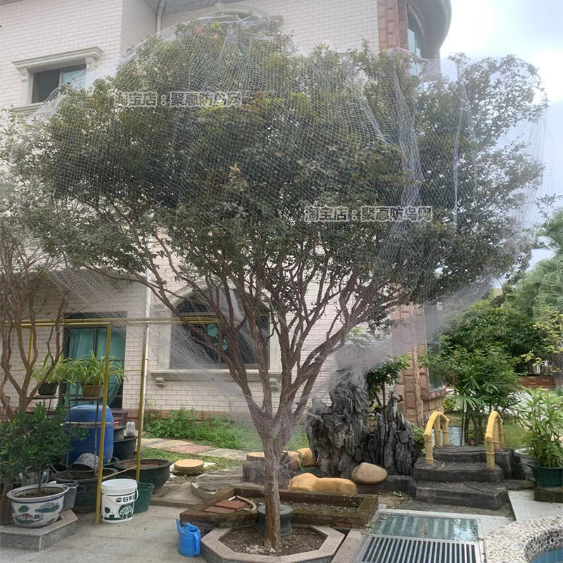 农用果树防鸟网用网护网防鸟线网隔离的丝网防鸟罩小孔菜地围网子