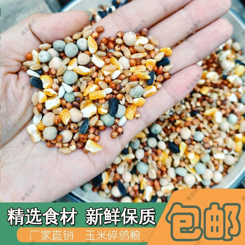 鸽粮有玉米营养赛飞饲料信观赏鸽子粮食鸟食包邮小颗粒,宠物/宠物食品及用品,鸟食,淘宝优惠券,粉丝福利购,淘宝优惠卷