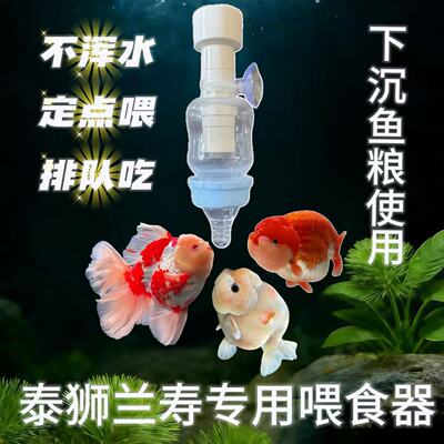 防浑水鱼缸喂食器泰狮兰寿专用下沉鱼粮喂食器新款奶嘴喂鱼神器