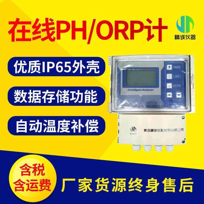在线PH计壁挂式在线水质PH计废水处理实时PH监测仪ORP检测仪