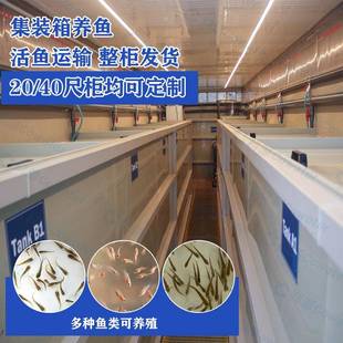 集装箱20/40尺柜配套水产养殖RAS系统一体机活鱼运输鱼池过滤设备