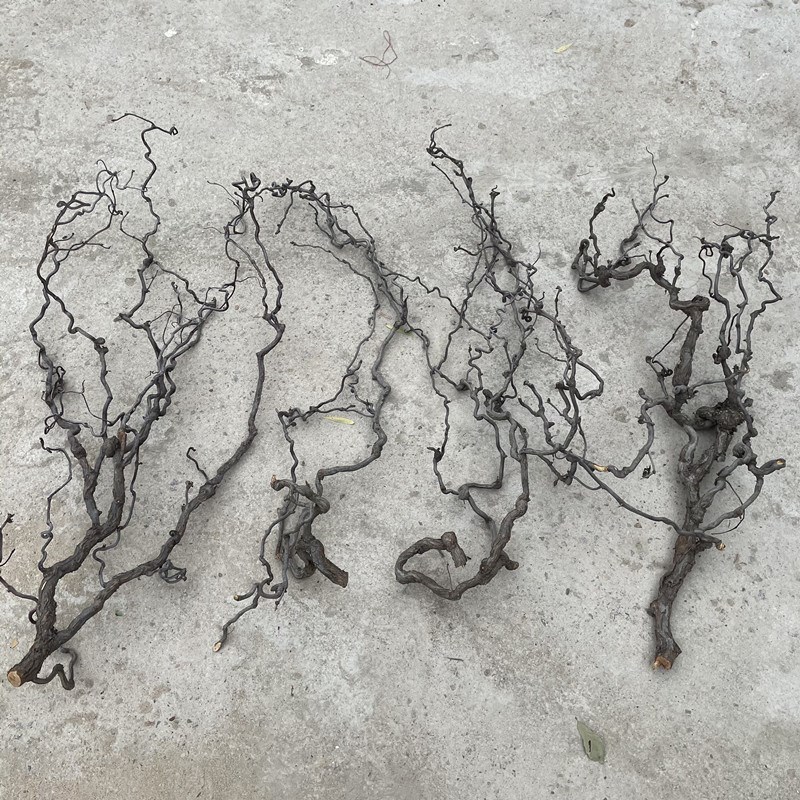 树枝装饰干枝壁挂天然多分叉龙枣树枝挂墙衣架手工原木枯树枝摆件