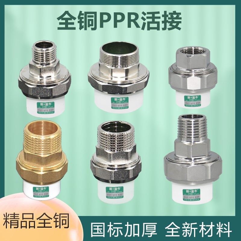 异径4分20 6分25 1寸32 PPR内牙外丝双头热熔铜活接白色