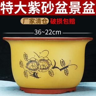特大紫砂兰花盆特价 清仓大口径栽花绿萝落地盆景花盆圆口陶瓷花盆