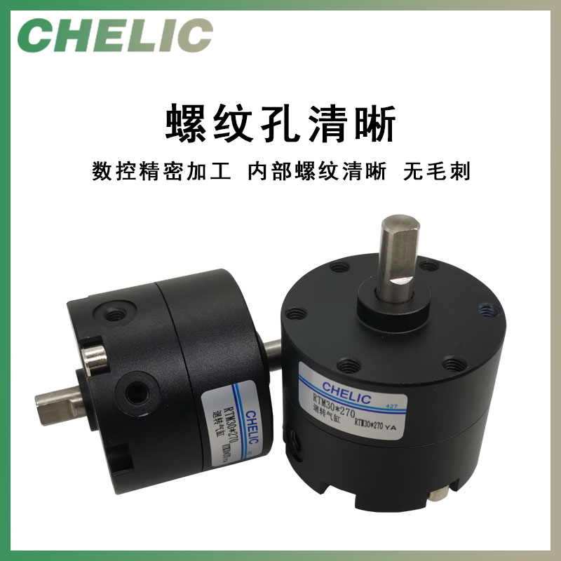 叶片旋转气缸RTM RTMF10*15*20*30*4050X90X180X270-L-C2-S