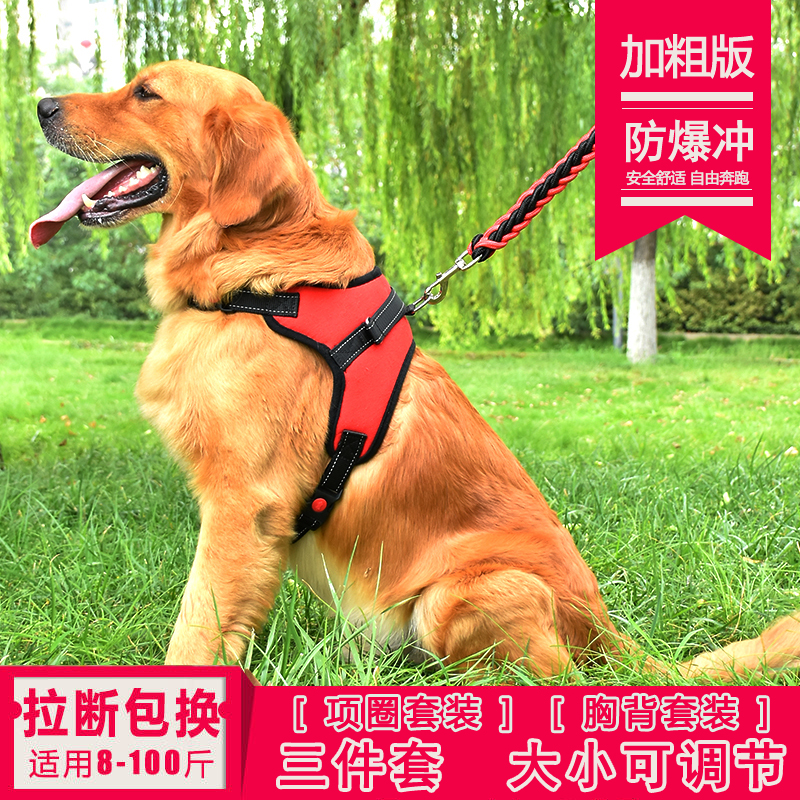 加粗三件套狗狗牵引绳小中大型犬金毛秋田狗链子胸背带项圈狗绳子