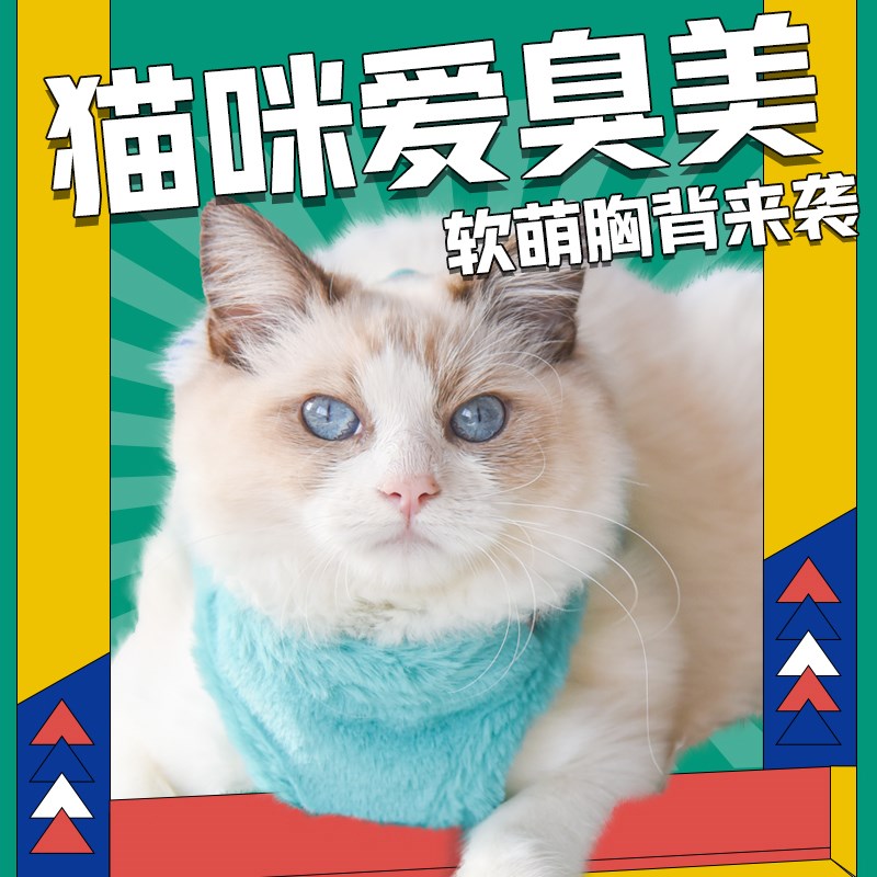 丁可猫咪冬季牵引绳胸背带背心式猫咪专用防挣脱遛猫绳子栓猫用品