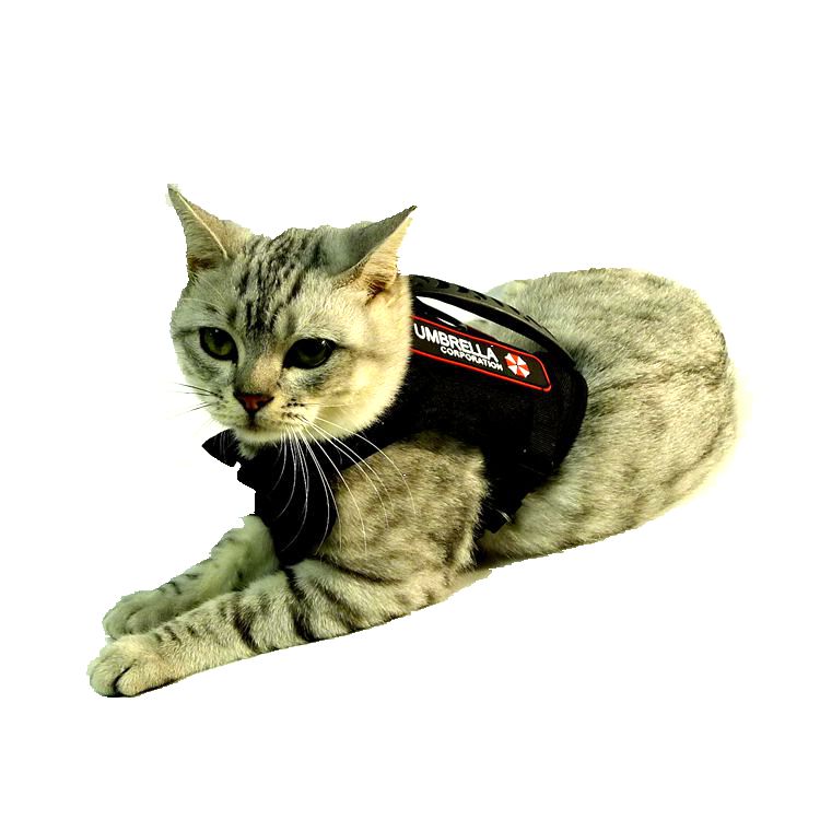 猫咪牵引绳胸背带战术马甲衣服链子外出背心式遛猫小型狗幼犬套背