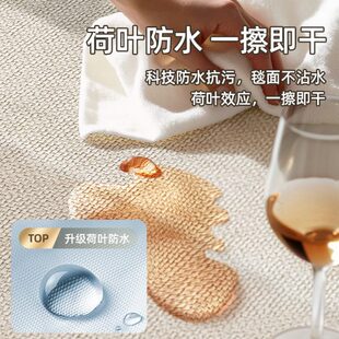地垫茶几地毯客厅毯大面积耐脏茶几桌垫卧室轻奢高级家用地毯垫子