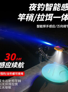 桥筏夜钓灯便携i式可充电竿稍灯晚上桥上钓鱼灯上饵料一体灯感应