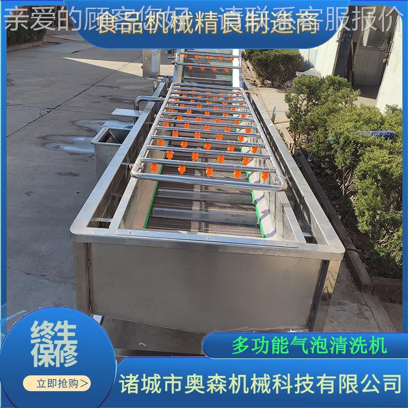 自动洗药机 中药材清 洗机不锈XIY全生钢网带式果蔬清洗机 姜清洗