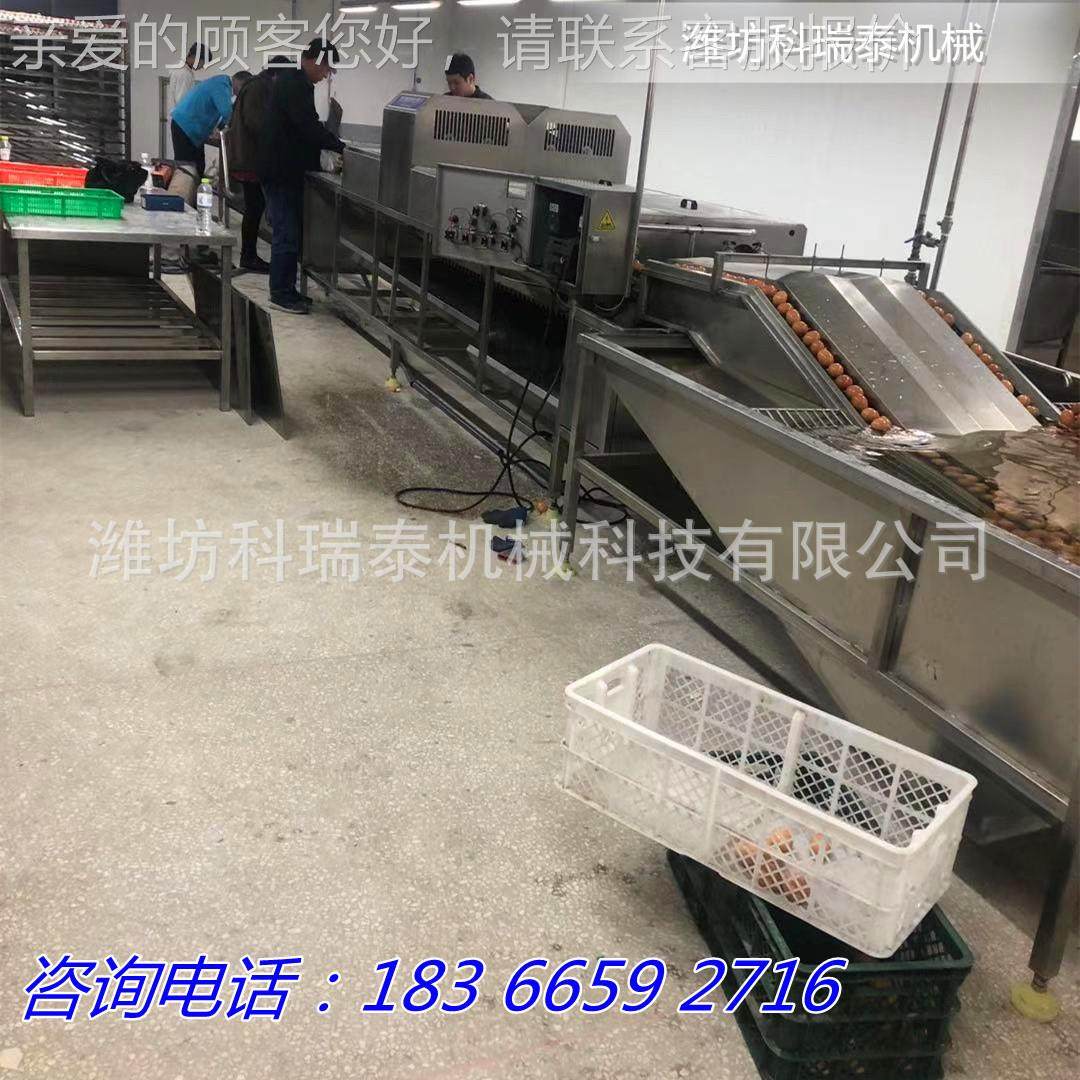 型鸭鸡洗蛋烘干流水NXR线 超市保洁加工设备 蛋品蛋清洗线小按需