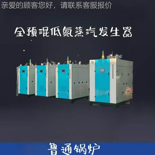 全预氮冷凝蒸CWG烘低汽发生器加热食品加工酿酒干天然气混蒸汽锅