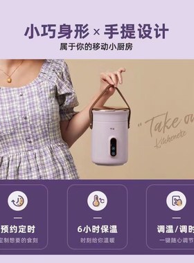 TER小电炖锅煮粥神器家用多功能迷你便携炖煮锅煲汤熬粥宝宝辅食