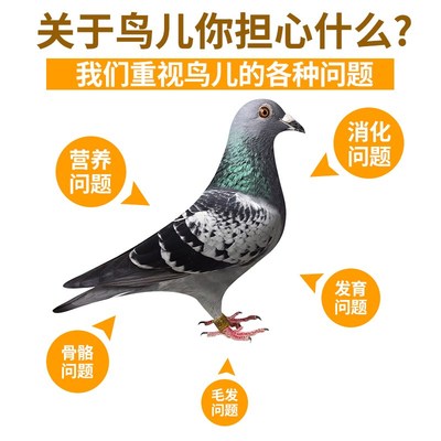 鸟食鸽缘抛光保健砂营养红土信鸽用品补高钙沙鸽子食粮20公斤包邮