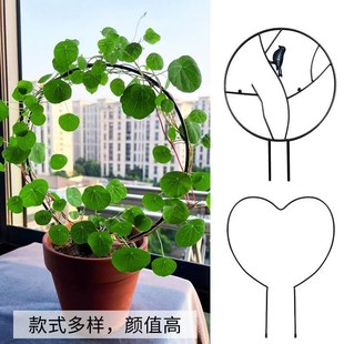 山乌龟雪莹爬藤架圆形创意铁艺铁线莲月季攀爬绿植专用盆景花架子