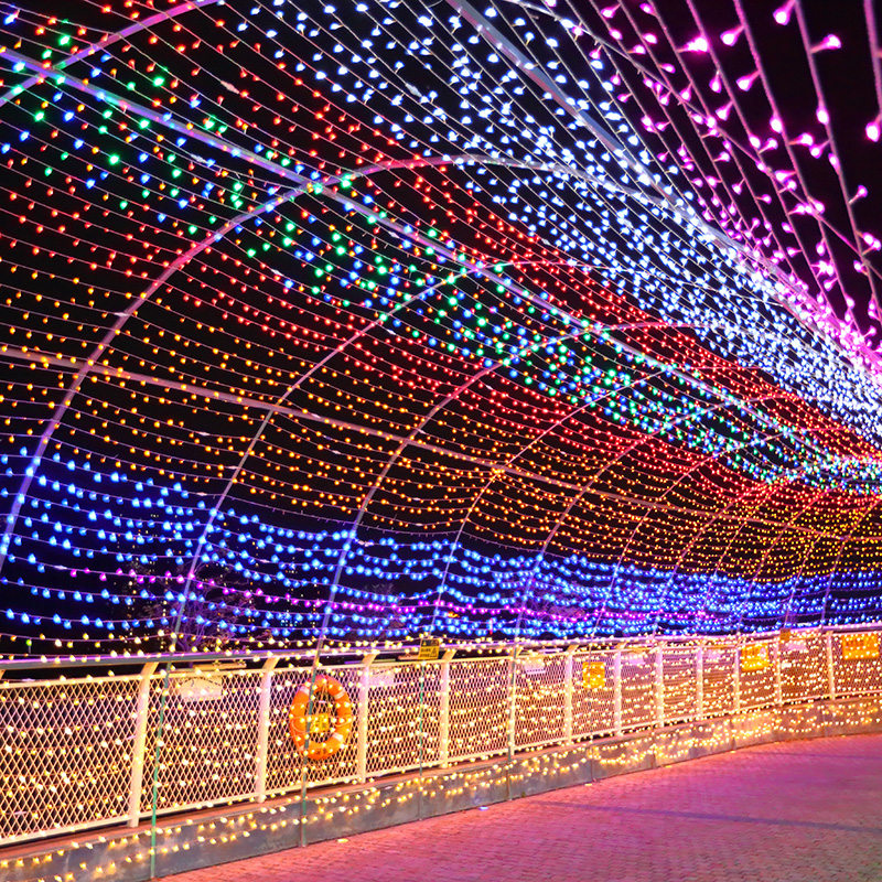 LED小彩灯闪灯串灯满天星灯七彩变色户外家用圣诞春节装饰霓虹灯