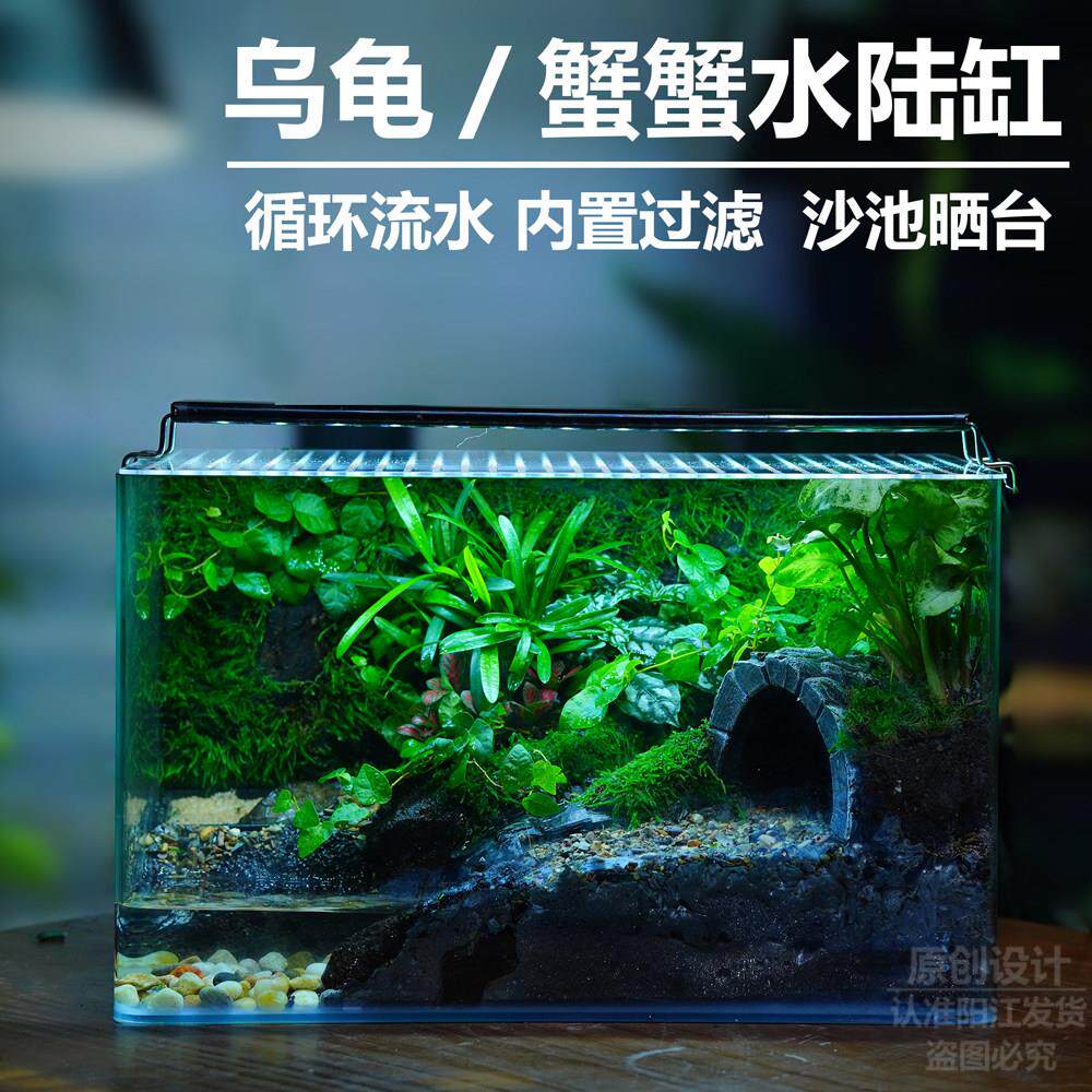 乌龟生态缸造景组装雨林缸生态缸鱼缸微景观盆景循环流水草缸成品