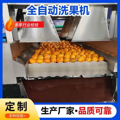 小青柑清洗机大型自动洗水果机清洗打蜡分级机整套设备柚子打蜡机