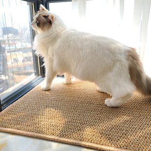 素色地毯仿剑麻地垫猫抓磨爪v抓垫客厅茶室卧室飘窗榻榻米满铺全