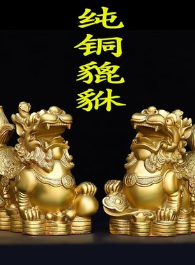 纯铜貔貅摆件一对铜貔恘皮丘招财家用客厅店铺装饰办公室家居饰品