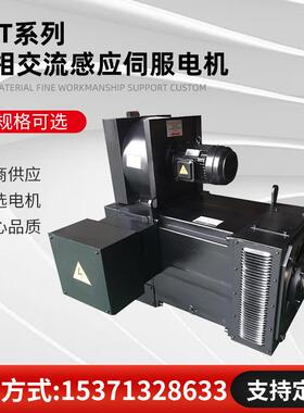YPT355L-4三相交流感应伺服电机，710KW, 1000RPM, 380V, 33.3Hz