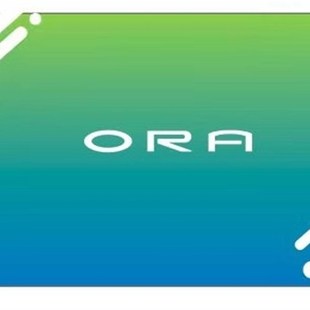 欧拉充电桩补卡欧拉充电卡欧拉猫黑猫巴斯巴充电卡启停卡配卡