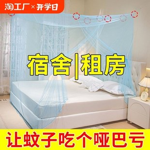 蚊帐家用卧室普通防蚊文帐传统农E村1.8米大床帐子无支架通用 老式