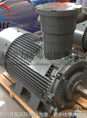 三相异步电动机防爆电机380VYB2-315M-6-90W电动机矿用电机