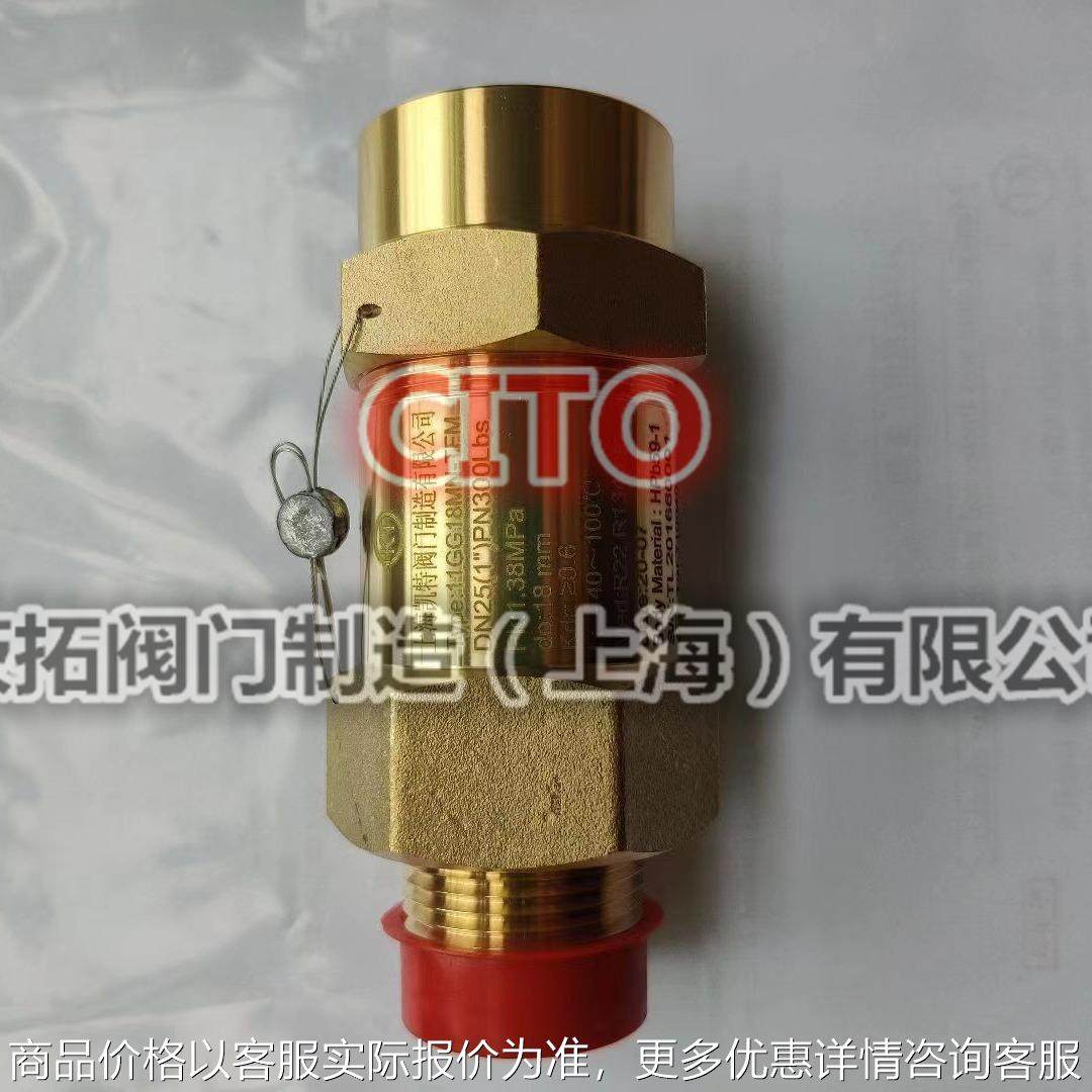 麦克维尔原装安全阀11GG18MN-TFM 制冷空调机组安全阀Z4203405 - 实物图