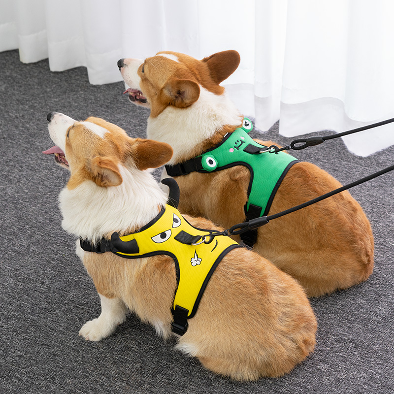 狗狗胸背带牵引绳狗胸背带可爱背心式外出柯基遛狗小型防爆项圈