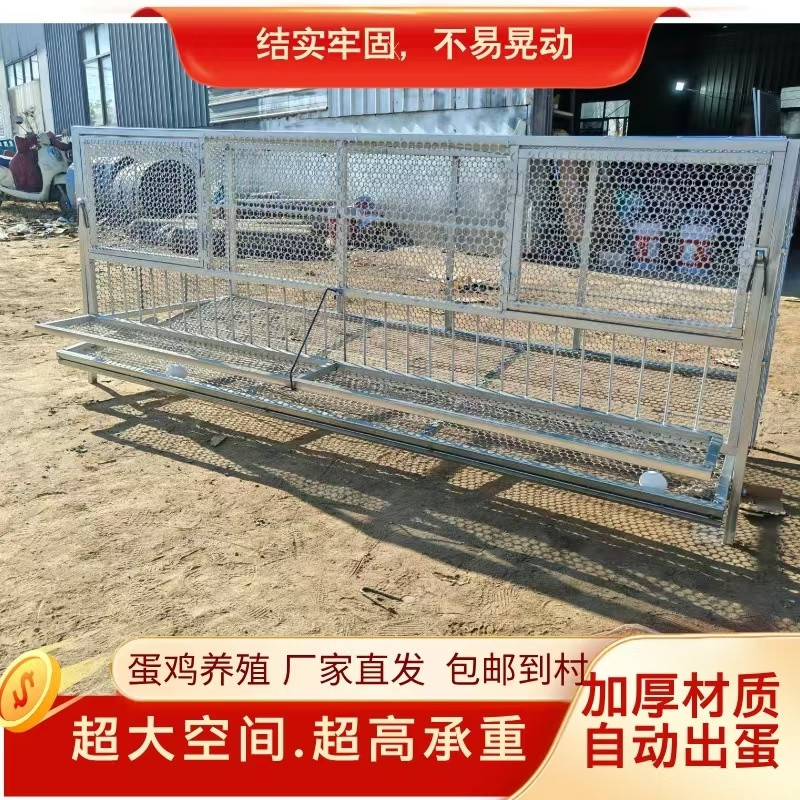 户外养鸡养殖笼自动出蛋防啄蛋特大号家用养鸡笼加宽加高加密防鼠