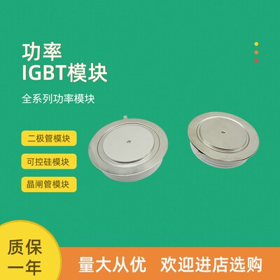 平板可控硅晶闸管T658N22TOF T658yN24TOF T658N26TOF T639N18TOF