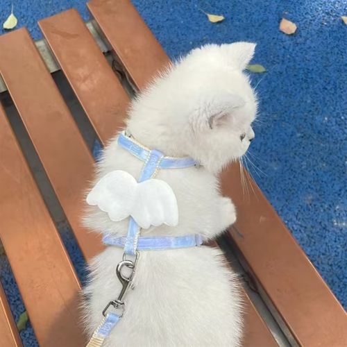 猫咪牵引绳遛猫绳防挣脱外出专用小翅膀工字型狗链子防走丢防跑绳