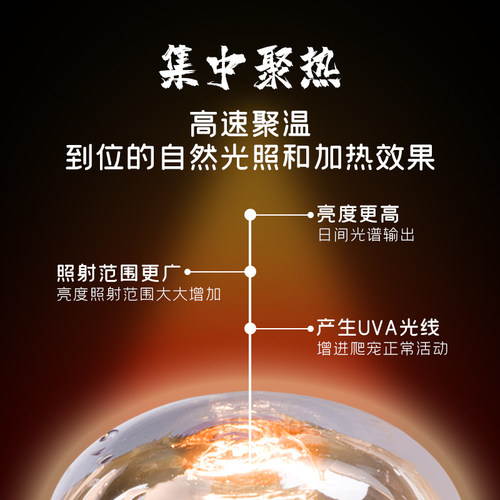 爬宠UVA加热日灯夜灯聚光灯蛇守宫鬃狮蜥蜴陆龟箱保温乌龟晒背灯