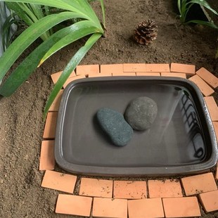 紫砂乌龟泡澡盆陆龟水盆半水龟洗澡盆黄缘专用超大号泡水盆龟水盘