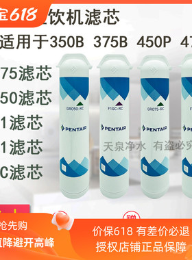 滨特尔GRO375B 450P 475P 350B纯水机滤芯活性炭反渗透直饮净水器