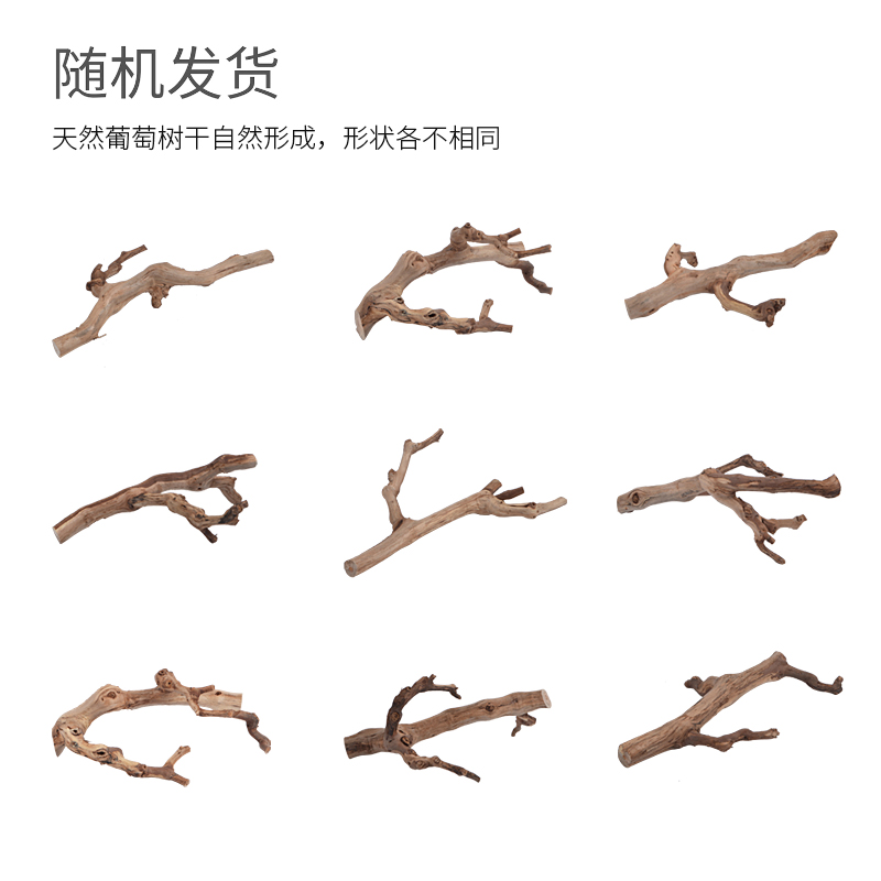 饲养缸睫角树栖爬虫躲避爬宠天然树根黄缘饲养箱环境造景摆件用品