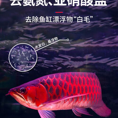 AC全新益菌屋滤材六棱设计鱼缸过滤材料培菌能力强快速去除亚硝酸