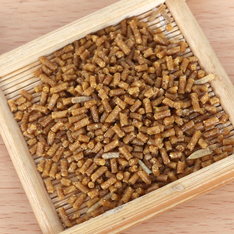 贵州凯里画眉鸟食提性专用料食五毒打鸟料画眉鸟粮饲料鸟粮饲料