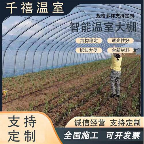 智能温室大棚骨架 冷棚暖棚插地棚 镀锌管 农业畜牧养殖棚