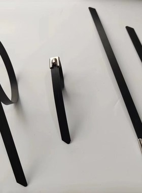 黑色喷塑扎带自锁式.mm*mmmm扎丝线束带