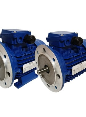 霍尔HOYE电机M2  2 9L L M 2M马达 极