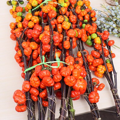 小南瓜鲜花观赏插花花束水培干花切枝花卉室内好养秋冬绿植物装饰