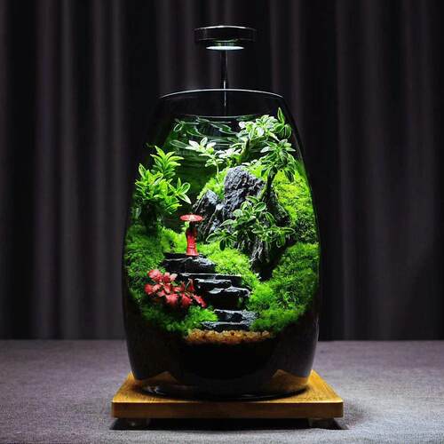 【烟雨江南】桌面苔藓微景观生态瓶盆栽创意摆件办公室植物好养活