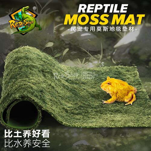 爬虫箱莫斯地毯莫丝底垫陆龟箱造景爬宠蛇角蛙蜥蜴守宫饲养盒垫材