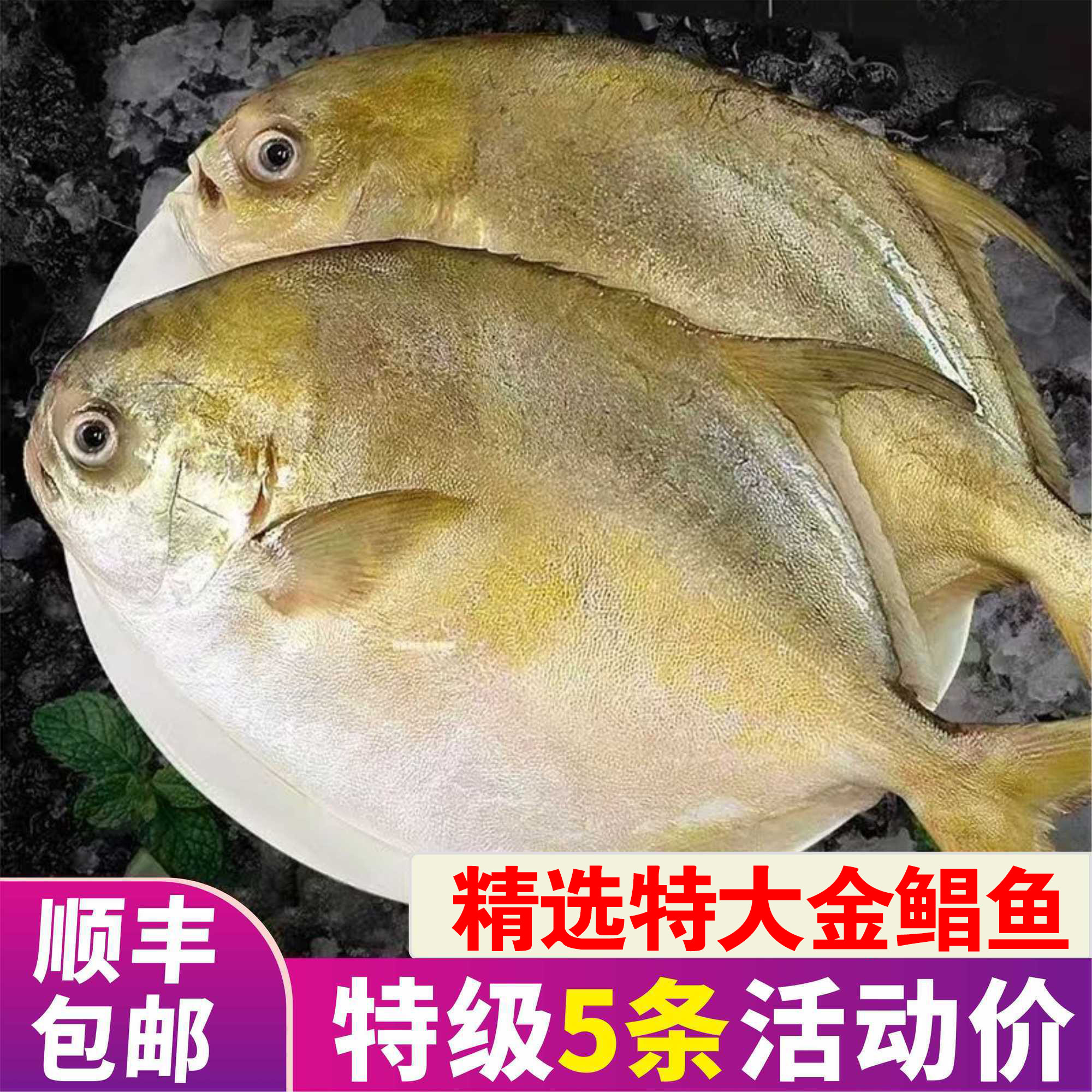 【港城食刻】新鲜金鲳鱼特大号鲜鲳鱼