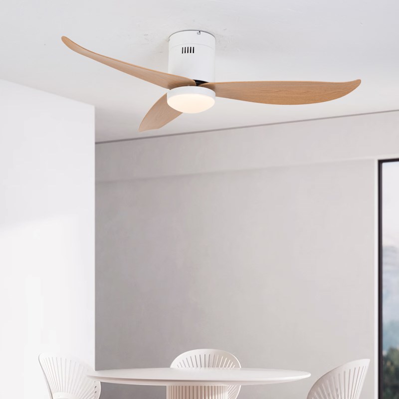 北欧简约风扇灯2024新款110v220v卧室风扇灯吸顶电扇餐厅超薄吊扇